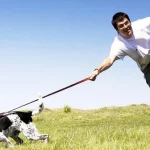 come-insegnare-al-cane-a-non-tirare-il-guinzaglio-in.webp.webp