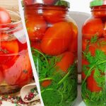 I pomodori sottaceto "Vintage" non si distinguono dai pomodori da barile: li mangiamo insieme alla salamoia I pomodori sottaceto "Vintage" non si distinguono dai pomodori da